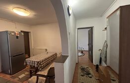 Apartament 43 mp - Debarcader 