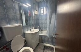 Apartament 43 mp - Debarcader 