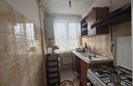 Apartament 43 mp - Debarcader 