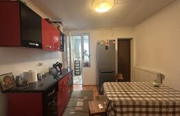 Apartament 43 mp - Debarcader 
