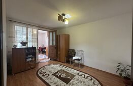 Apartament 43 mp - Debarcader 