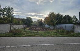 Teren intravilan, Stanesti, 3000 mp