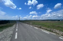Teren 5000 mp - zona Dealul Targului