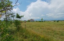  Teren intravilan de vanzare, 544 mp, zona  Cornesti - Buduhala