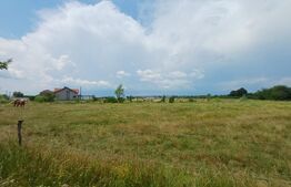  Teren intravilan de vanzare, 544 mp, zona  Cornesti - Buduhala