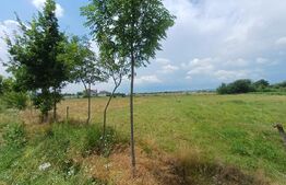 Teren intravilan de vanzare, 899 mp, zona Cornesti - Buduhala