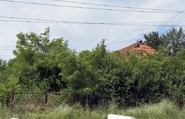 Teren 5000 mp , zona Dragoieni 