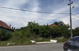 Teren 5000 mp , zona Dragoieni 