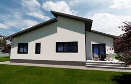 Casa Individuala de vanzare, 121 mp, Târgu Jiu