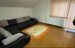 Casa de vanzare sau inchiriere, 7 camere, 315 mp, zona - Sisesti