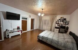 Casa de vanzare sau inchiriere, 7 camere, 315 mp, zona - Sisesti