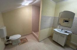 Casa de vanzare sau inchiriere, 7 camere, 315 mp, zona - Sisesti