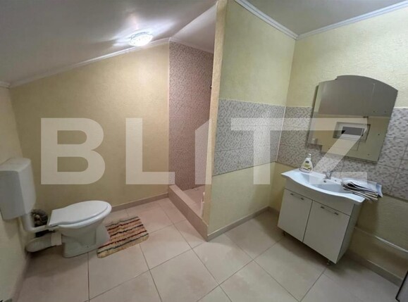 Casa de vânzare 7 camere Șișești - 200374CV | BLITZ Târgu Jiu | Poza11