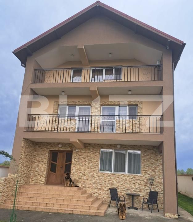 Casa de vânzare 7 camere Șișești - 200374CV | BLITZ Târgu Jiu | Poza2
