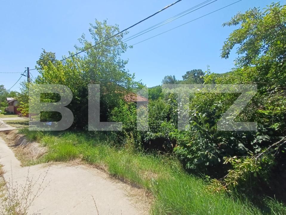 Teren de vânzare Exterior Est - 200387TV | BLITZ Târgu Jiu | Poza3