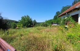 Terencu intravilan de vanzare, casa zona PRIGORIA