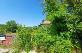 Terencu intravilan de vanzare, casa zona PRIGORIA