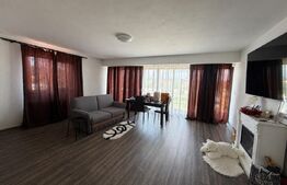 Casa de vanzare cu spatiu comercial, service auto si teren 3000 mp, zona Virt