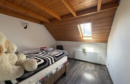 Casa de vanzare cu spatiu comercial, service auto si teren 3000 mp, zona Virt