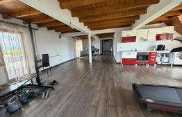 Casa de vanzare cu spatiu comercial, service auto si teren 3000 mp, zona Virt