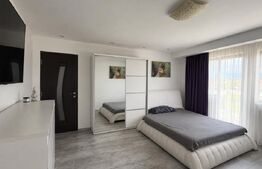Casa de vanzare cu spatiu comercial, service auto si teren 3000 mp, zona Virt