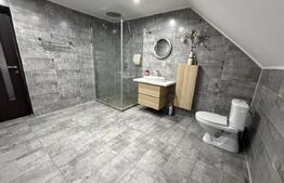 Casa de vanzare cu spatiu comercial, service auto si teren 3000 mp, zona Virt