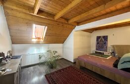 Casa de vanzare cu spatiu comercial, service auto si teren 3000 mp, zona Virt