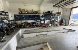 Casa de vanzare cu spatiu comercial, service auto si teren 3000 mp, zona Virt