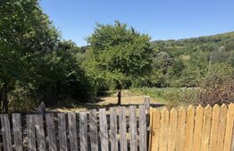 Teren de vanzare, 1600 mp, zona Schela 