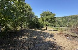 Teren de vanzare, 1600 mp, zona Schela 