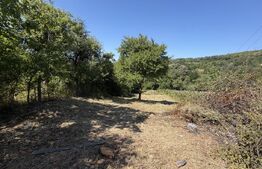Teren de vanzare, 1600 mp, zona Schela 
