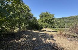 Teren de vanzare, 1600 mp, zona Schela 