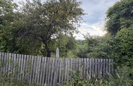 Teren de vanzare, 1600 mp, zona Schela 