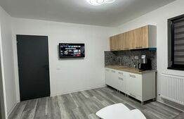 Garsonieră renovată, Etajul 1, Zona Piata Mică