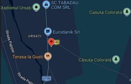 Spatiu comercial de inchiriat, 60 mp Ursati
