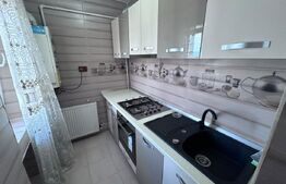 Garsoniera de inchiriat, 28 mp, zona Lotrului
