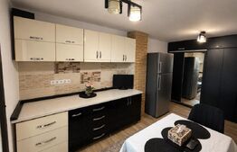 Apartament 2 camere, 54 mp, zona Corneliu Coposu 