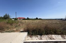 Teren 15.000 mp, zona Bucureasa 