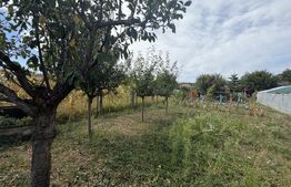 Casa, 70 mp, teren 1700 mp, zona Turcinesti