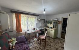 Casa, 70 mp, teren 1700 mp, zona Turcinesti