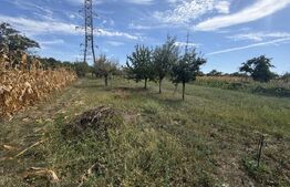 Casa, 70 mp, teren 1700 mp, zona Turcinesti