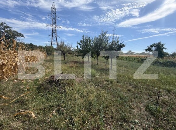 Casa de vânzare 2 camere Nord - 205046CV | BLITZ Târgu Jiu | Poza8