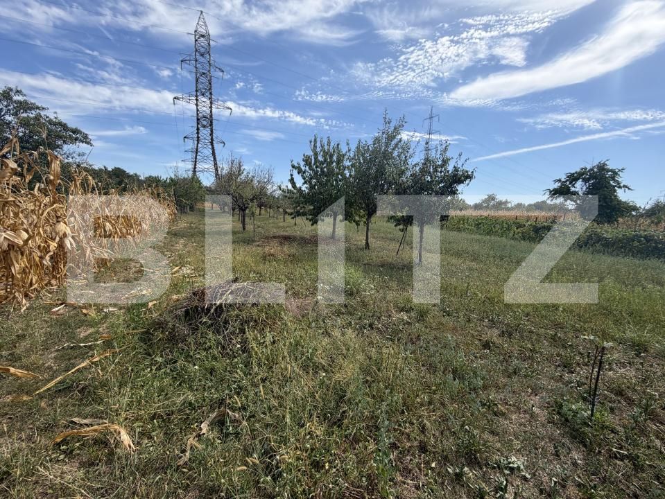 Casa de vânzare 2 camere Nord - 205046CV | BLITZ Târgu Jiu | Poza8