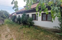 Casa de vanzare, 153 mp, teren 5000 mp, zona Cartiu-Turcinesti