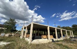 Casa  in constructie 300 mp, teren 5000 mp, zona Ursati 