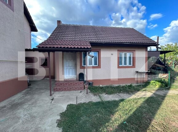 Casa de vânzare 6 camere Primaverii - 207123CV | BLITZ Târgu Jiu | Poza12