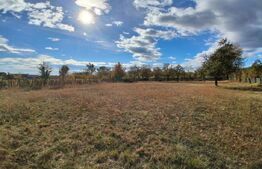 Teren extravilan, 2423 mp, zona Est - Baia de Fier