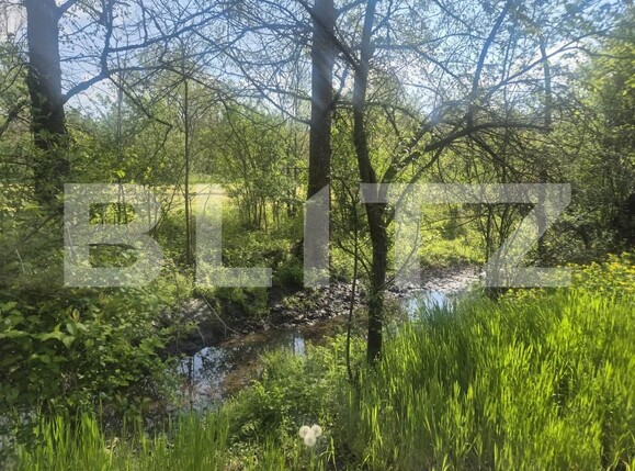 Casa de vânzare 3 camere Nord Vest - 208754CV | BLITZ Târgu Jiu | Poza5