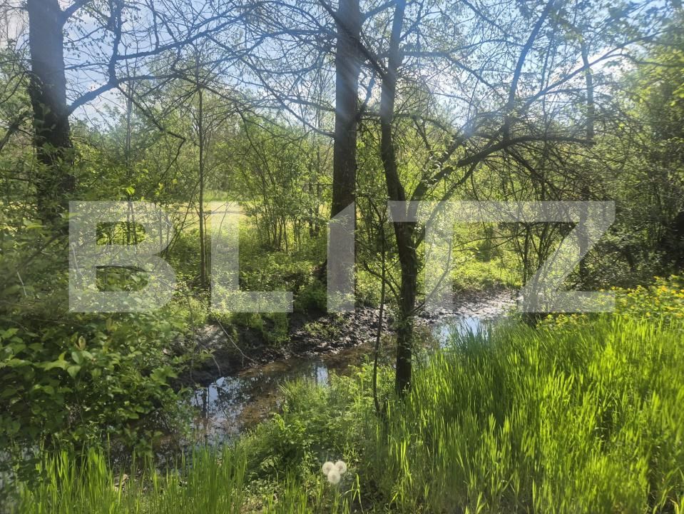 Casa de vânzare 3 camere Nord Vest - 208754CV | BLITZ Târgu Jiu | Poza5