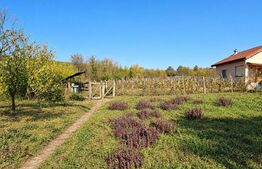 Casă de vânzare, 80 mp, zona Centrală - Bălănești